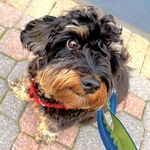 Hello there! We are back and will be posting lots of stuff! Another closet sale!